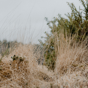 Respiraciones Profundas