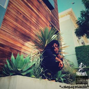 H O N E S T L Y F R E E S T Y L E