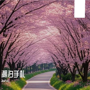 潮汐手札