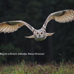 Bújj ki a fényre! (feat. Suno)