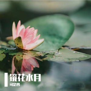 镜花水月