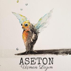 Uçman Lazım (feat. Ayşegül Şirin & Ümit Yaşar Doğdu)