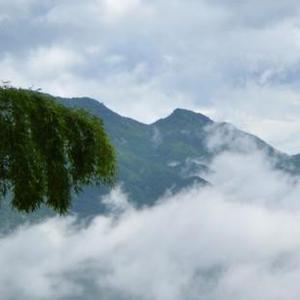 亲爱的让我爱上你