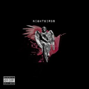 Nightbirds