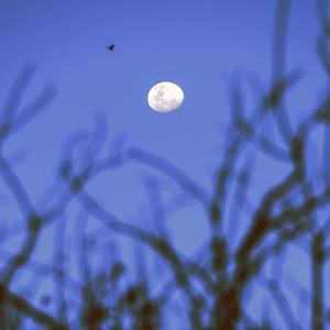 今天我只想你了一次(片段)