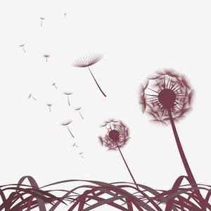 飞翔的蒲公英——《秋蝉》主题曲（翻自 李克勤）