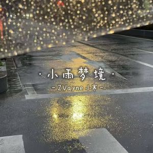 小雨梦境