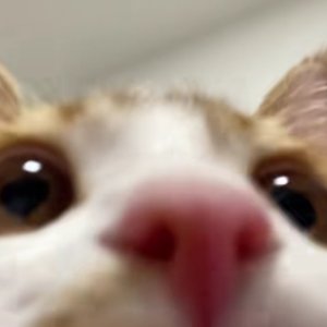 友谊是件隐形衣