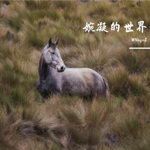 月亮也看不清我