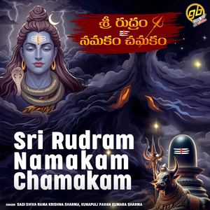 Sri Rudram Namakam Chamakam