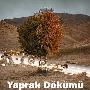 Yaprak Dökümü