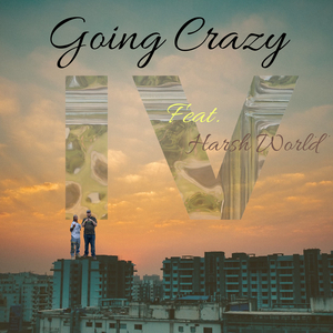 Going Crazy
