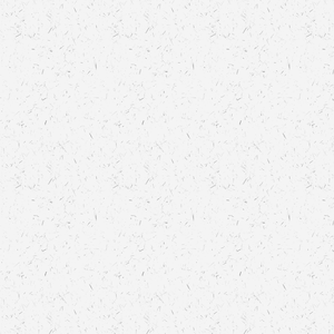 数字月光