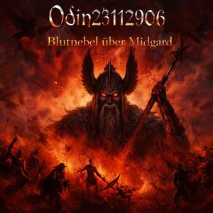 Raben über Aschenfeld