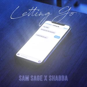 Letting Go (feat. Shabba)