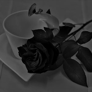 心安理得（温柔版）