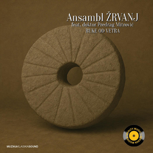 Svetlana (feat. Doktor Predrag Mitrović)