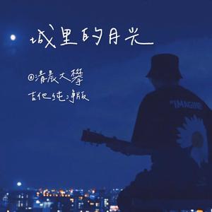 城里的月光（吉他纯净版）
