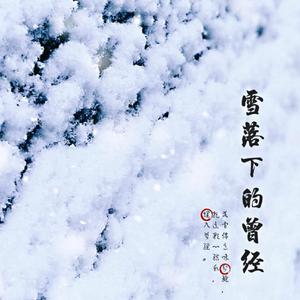 雪落下的曾经