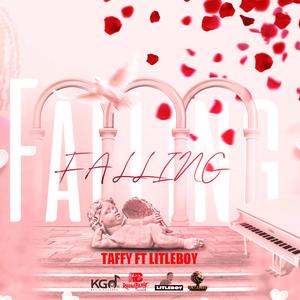 Falling (feat. Litleboy)