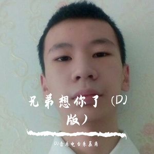 兄弟想你了 (DJ版)