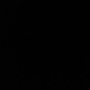 HuriCÆNE (feat. Shdws)