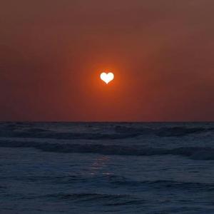 此生所求 不过热爱与自由0.9x