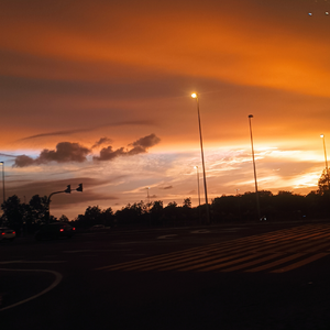 Lydia（抖音版）