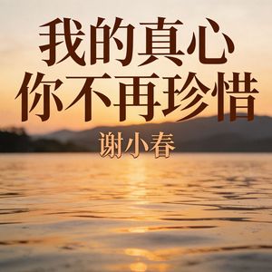 我的真心你不再珍惜