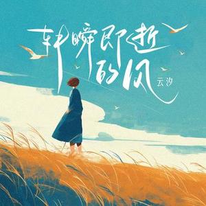 转瞬即逝的风