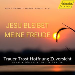 St. Matthew Passion, BWV 244, Pt. 2: No. 44, Befiehl du deine Wege