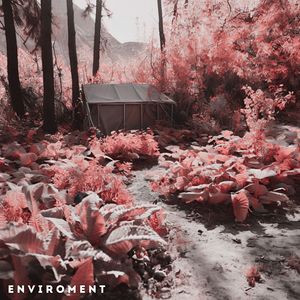 Enviroment