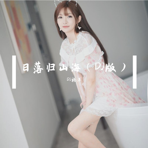 日落归山海（DJ版）