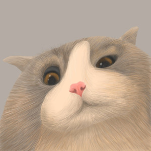 我怕鬼但是我不怕僵尸5.0