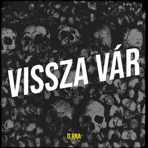 Vissza Vár