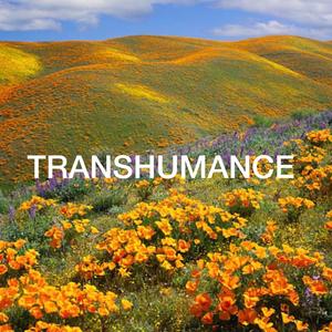 TRANSHUMANCE