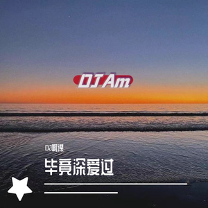 六哲 - 毕竟深爱过(DJ啊谋 ProgHouse Mix国语男）