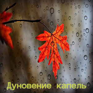 Дождь умиротворения