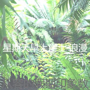 柔和的星期一时刻