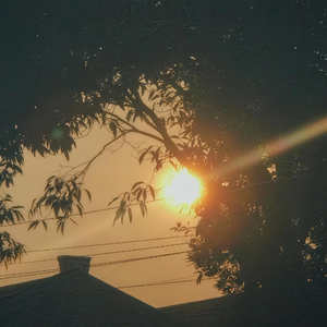 与你相见的某个晴天里的风