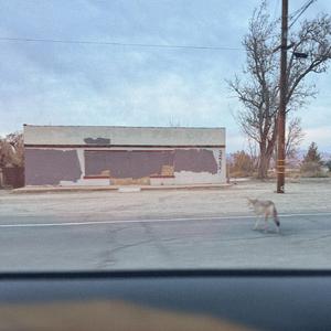 Coyotes (Out in California)