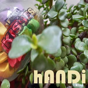 hANDi