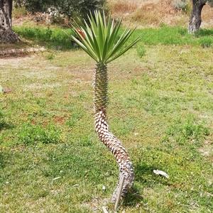 五味俱全创作歌曲 （第4集）乙