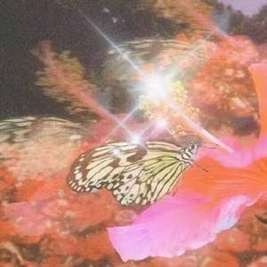 我虚空的爱//Prod.BirdS