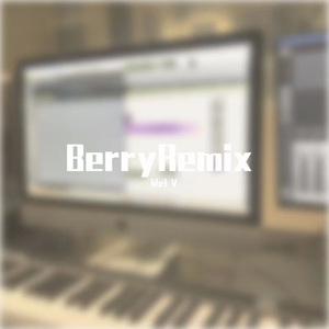 李佳隆-BerryRemix（Wei V remix）