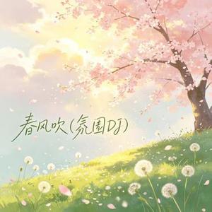 春风吹 (DJ版)
