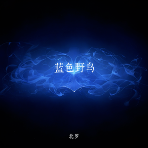 蓝色野鸟
