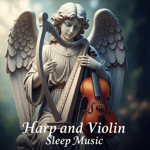 Violin Sleep Silence