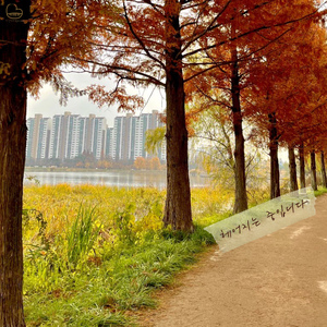 헤어지는중입니다