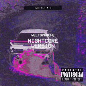 Hausdurchsuchung - Sped Up